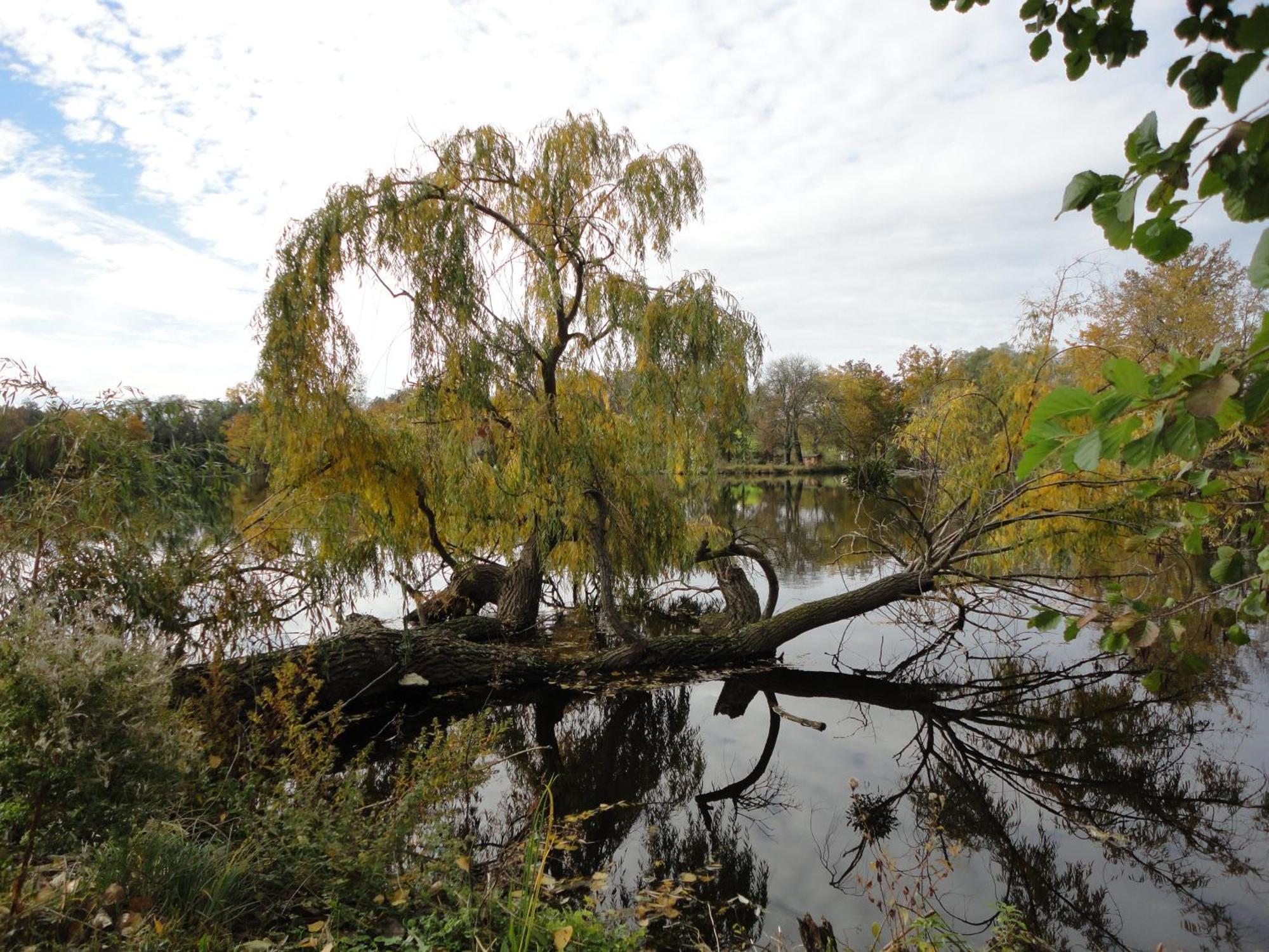 Hotel L'Ile Du Saussay Itteville Екстер'єр фото